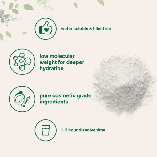 Seurico™ Hyaluronic Acid Powder