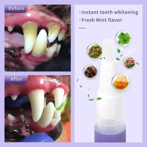 Seurico™ Pet Oral Repair Gel